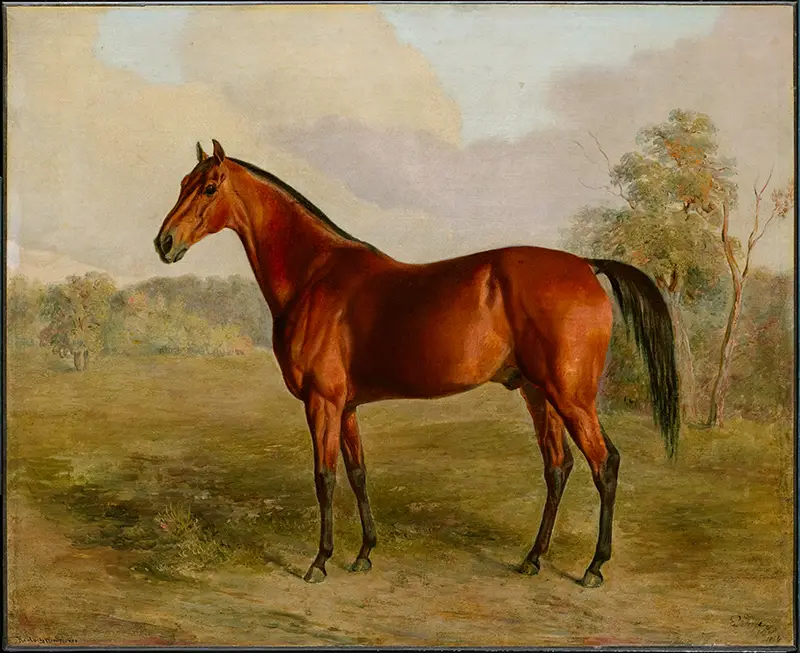 Oil canvas painting by Edward Troye in 1834 of a Kentucky Woodpecker racehorse. 